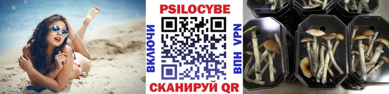 Галлюциногенные грибы GOLDEN TEACHER  Абакан 